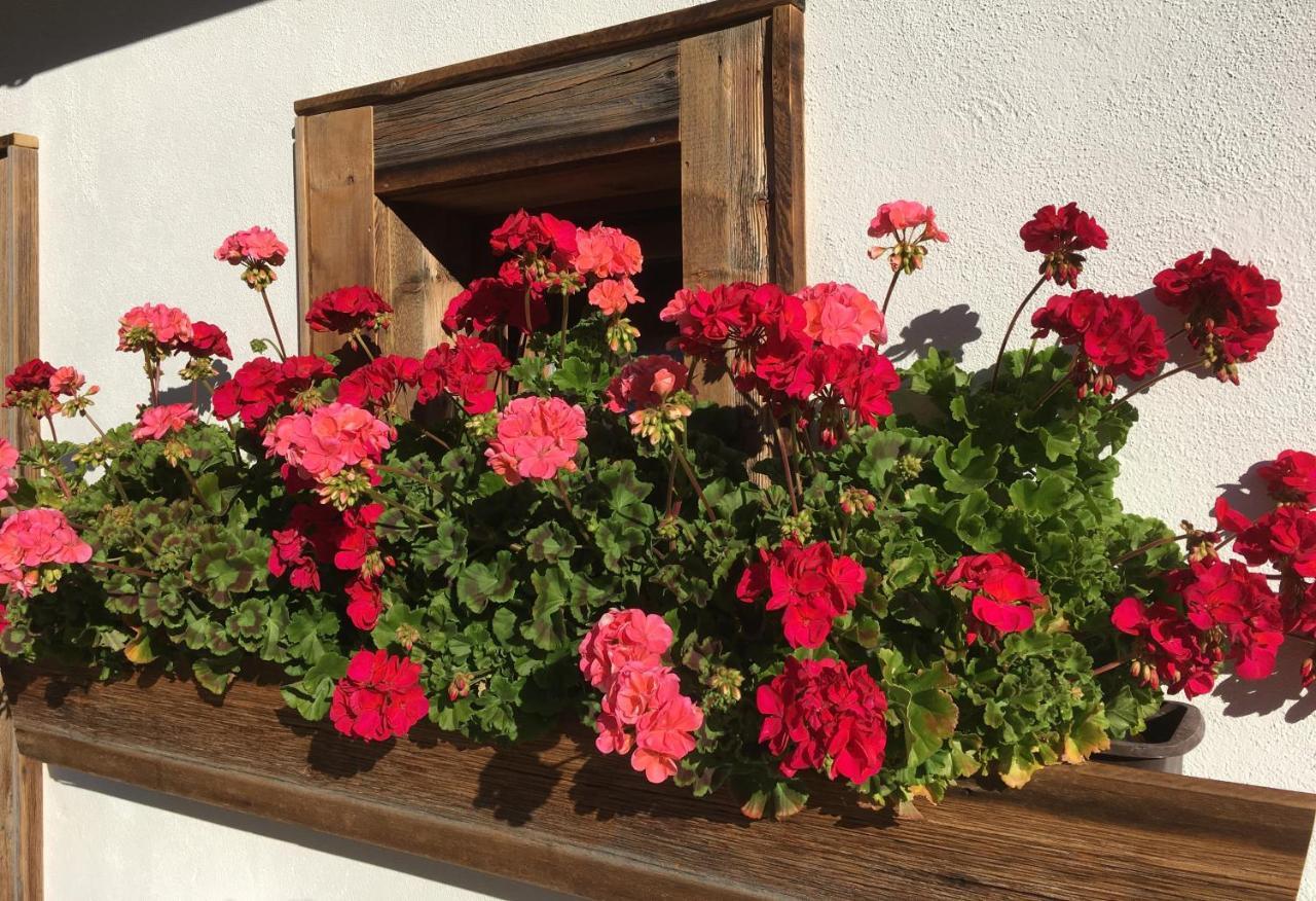 Haus Buchhammer Lägenhet Sankt Anton am Arlberg Exteriör bild